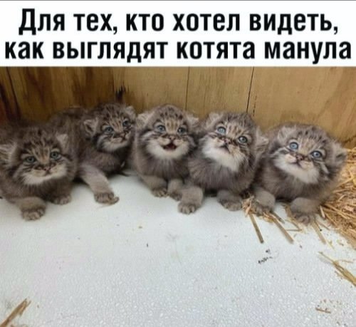 IMG 20190806 001022