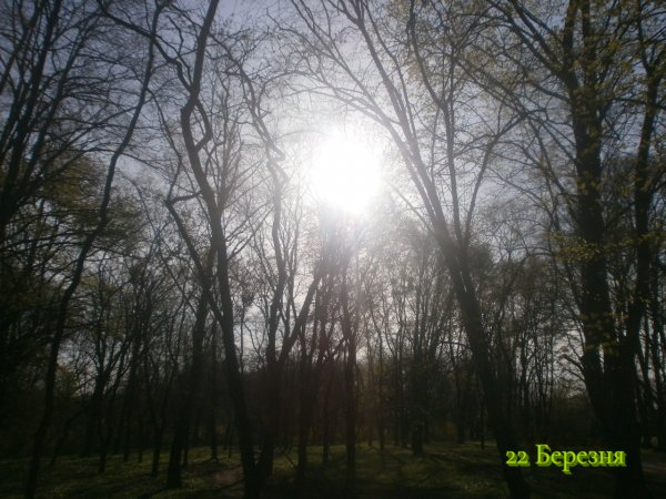 22 Березня