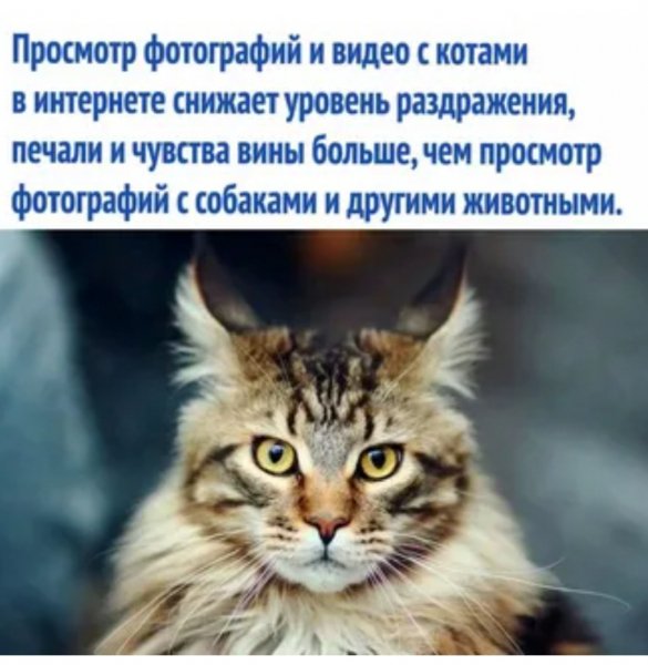 Верные слова!