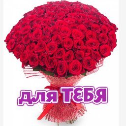 розы