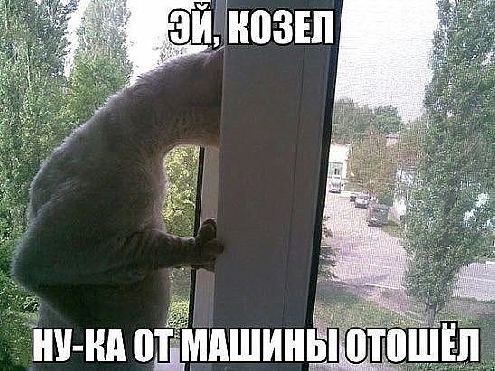image (31)
