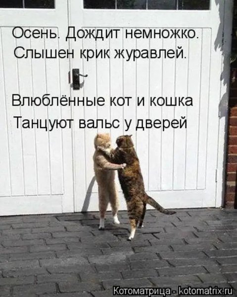 Осень