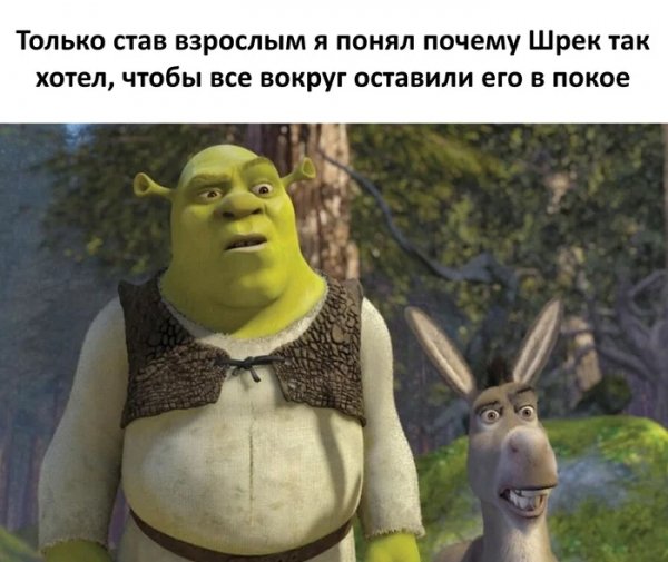 Понимание )