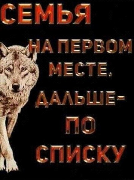 IMG 20210205 024201