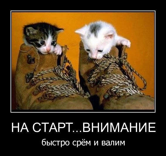 3uw3az7ed0aq4d8934yli3snu