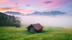 artleo.com-53715