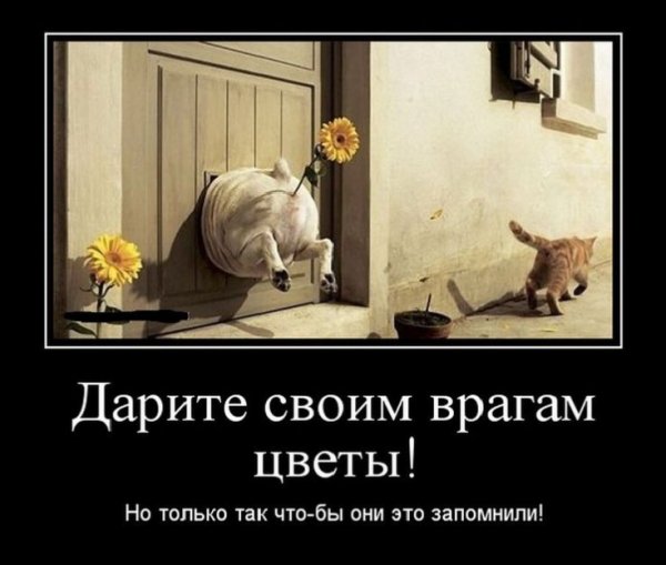 Да! ))