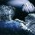 frozen bublle 240x320 os9