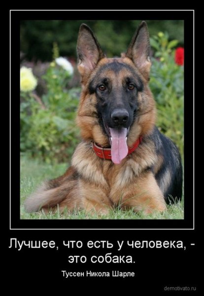Верно!