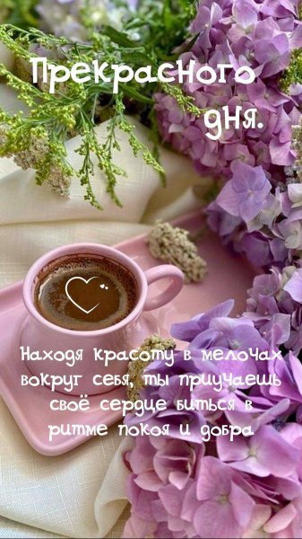 picture_386889660