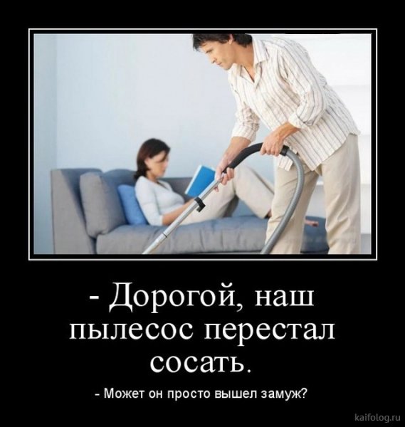 picture_378885223