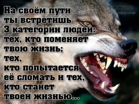 picture_215269052