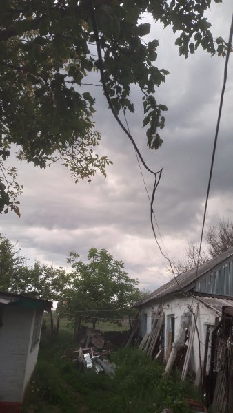 picture_412843172
