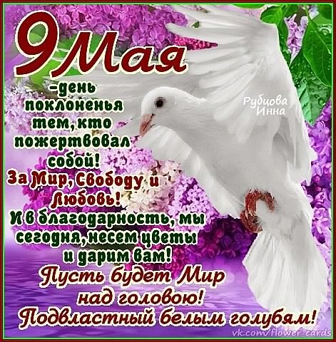 9мая