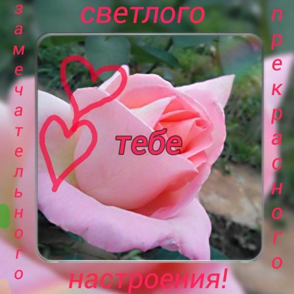 photostudio 1473001561224