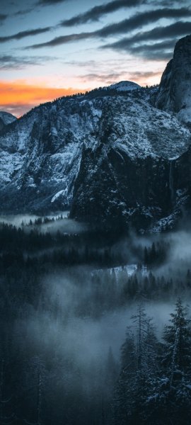 Android Wallpaper (11)