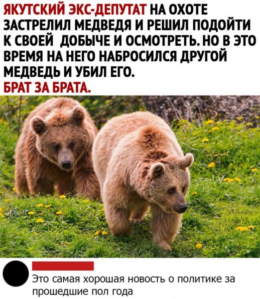 kommentarii-iz-socialnyh-setej-25