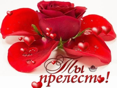 image(823)