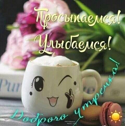 e68479f5462fa2ea69b18c603fc52042