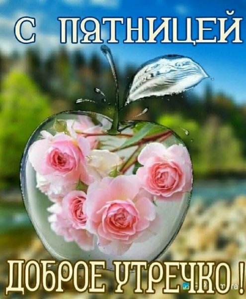 Всех!