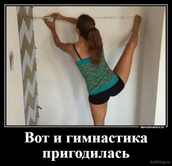 picture_386738494