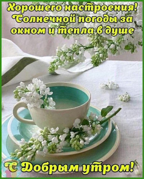 IMG-20210424-WA0011