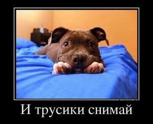 i-trusiki-snimaj.thumbnail