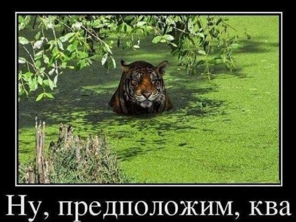 TkTqZ5xxFFQ.jpg resize