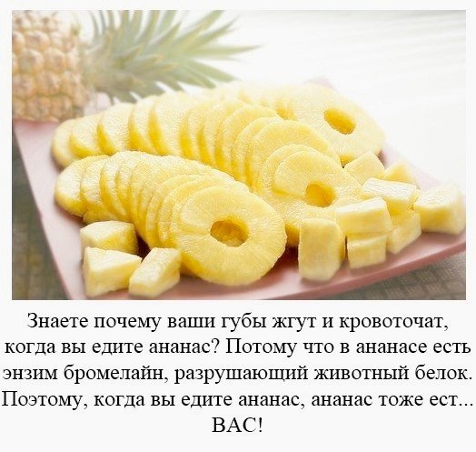 1OjHyDr mlI