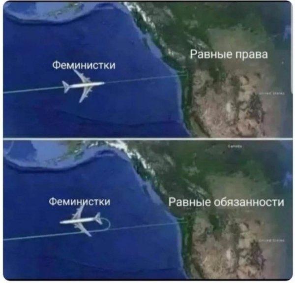 Феминизм)