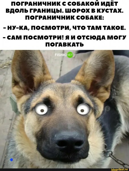 Да! ))