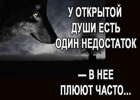 image (3) (3)