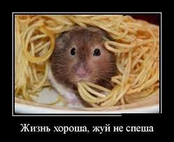 pics