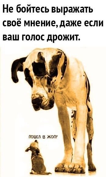 c3c1a4f041f68570252564bc652