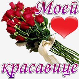 розы