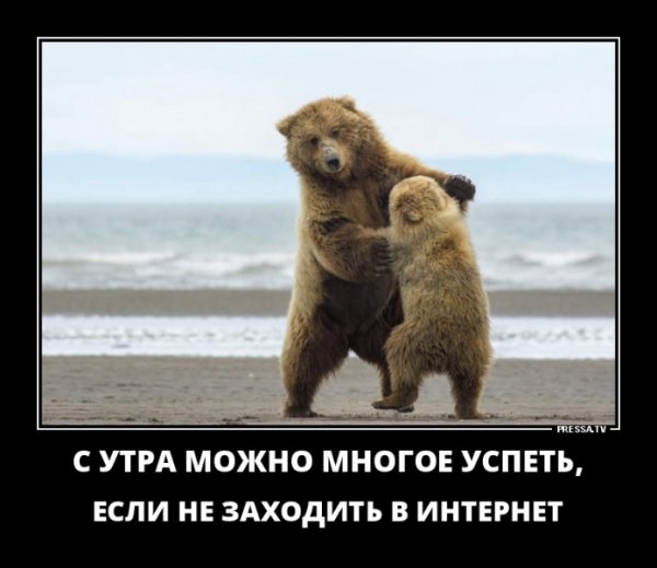 picture_247998670