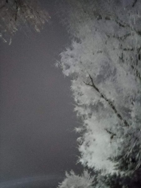 picture_404920708