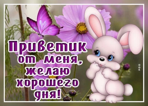 IMG-20210302-WA0001
