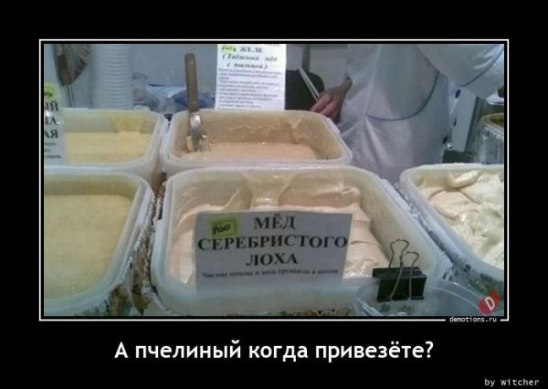 picture_399877372