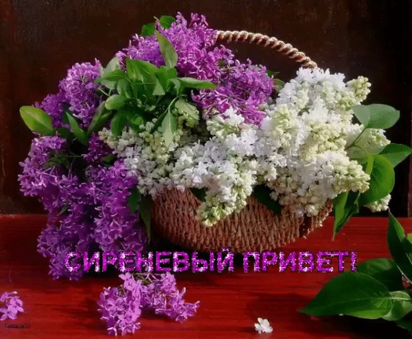 IMG 20210521 113039