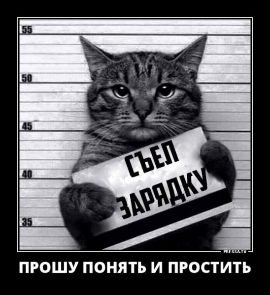 picture_247678689