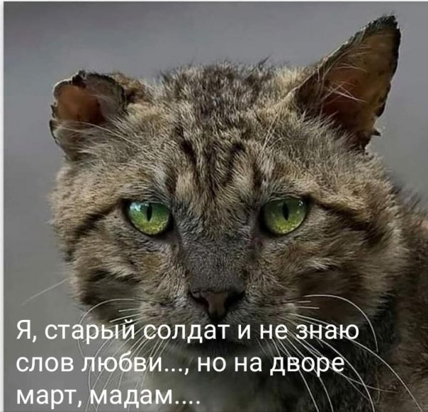 IMG-20210314-WA0032
