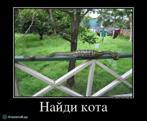 Найди кота :p