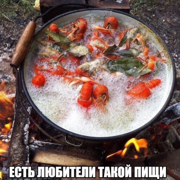 КАЙФ