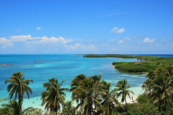 Mexico Coast Sea Cancun Palms 562911 600x400