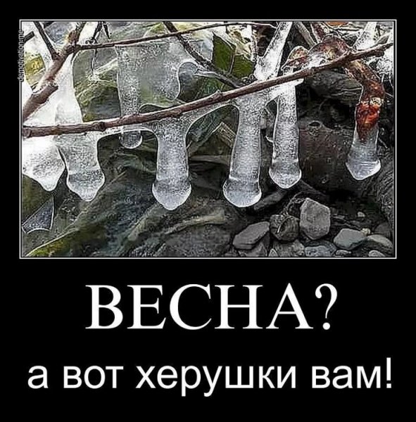 C5ab88f0784ebbcea361656cafb0358b