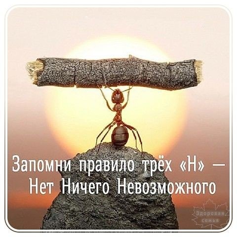 68f166822bcdbac6badddfd3bb85fcd5