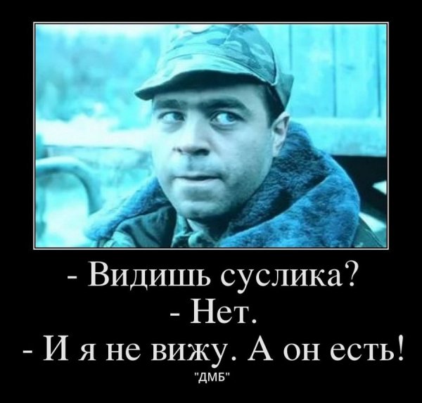 u0lVpp59z48