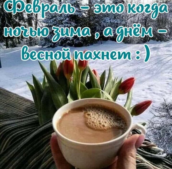 6d3f46a9ad6020bc235ade8f912e8b78