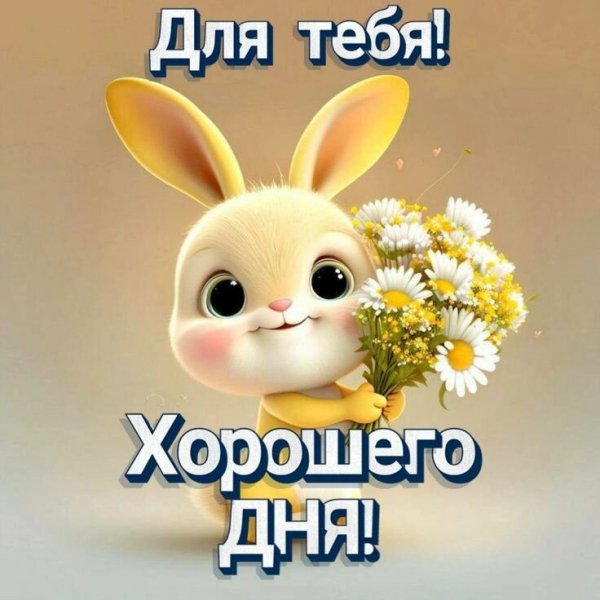 IMG-20251203-WA0019